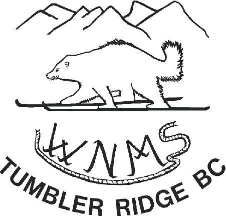 WNMSlogo